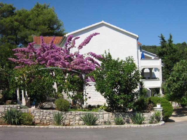 Apartments Sarah Medvinjak Extérieur photo